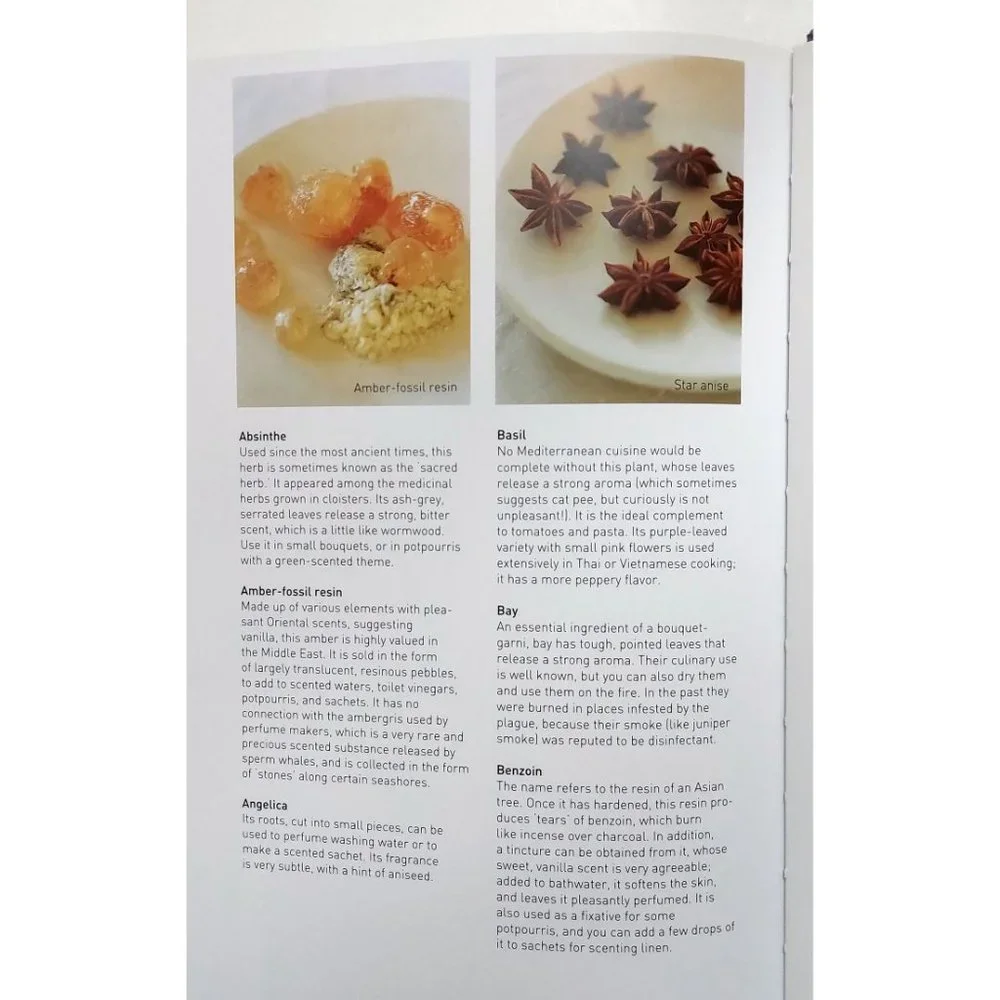 NEW The Scented Home Hardcover Book Tabletop Coffee Table Beautiful Volume - Picture 9 of 9